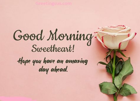 Good Morning Darling Love, Good Morning My Dear Love, Good Morning My Dear, Good Morning Darling, Good Morning Sweetheart Quotes For Her, Good Morning Sweetheart, Good Morning Darling Images, Good Morning Hubby, Good Morning Sweetheart Images