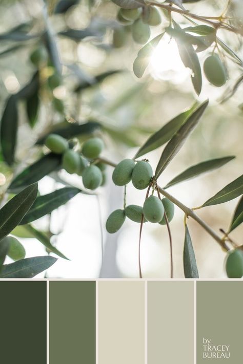 50 New Color Palettes to Inspire Creativity — Authentic Days & Beach Causeways Browns And Green Color Palette, Pale Green Palette, Moss Green Color Combinations, Beige And Green Palette, Eucalyptus Green Color Palette, Beige Green Color Palette, Beige And Green Color Palette, Shades Of Green Palette, Green Beige Color Palette