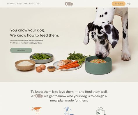 Human Grade Dog Food, Pet Branding, Dog Branding, Healthy Dog Food Recipes, Ecommerce Design, Food Website, Foods Delivered, Branding Design Inspiration, Creative Packaging