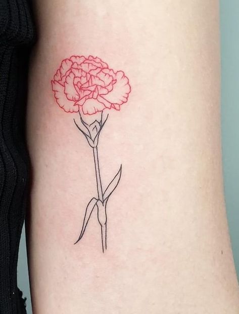 Red Geraniums Tattoo, Hadestown Flower Tattoo, Simple Carnation Tattoo Outline, White Carnation Tattoo, Carnation Tattoo Outline, Red Carnation Tattoo, Simple Carnation Tattoo, Pink Carnation Tattoo, Hadestown Tattoo