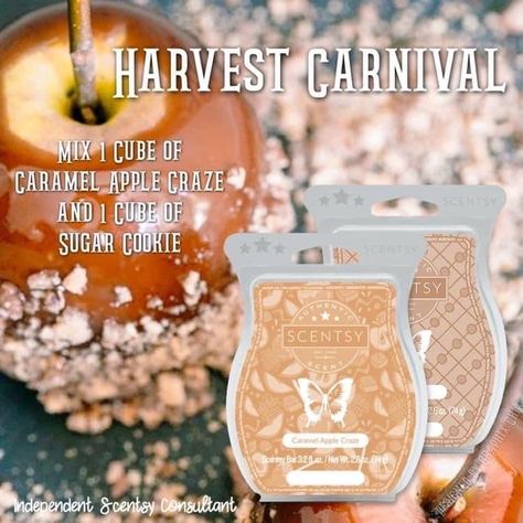 Scentsy Mixers, Scentsy Sample Ideas, Scentsy Recipes, Scentsy Marketing, Best Wax Melts, Scentsy Fall, Scentsy Candles, Scentsy Ideas, Scentsy Consultant Ideas