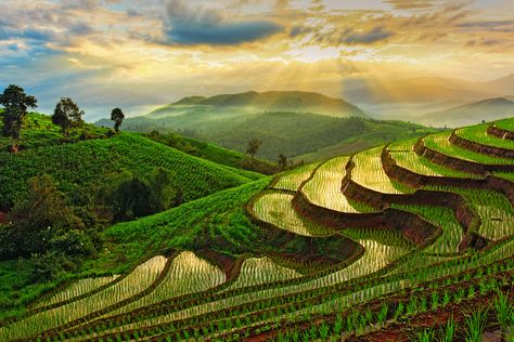 Rice terraces Bharat Flooring, Terrace Farming, Vigan City, Thailand Landscape, Cambodia Angkor Wat, Wheat Farm, Mosaic Windows, Coron Island, Relaxing Photos