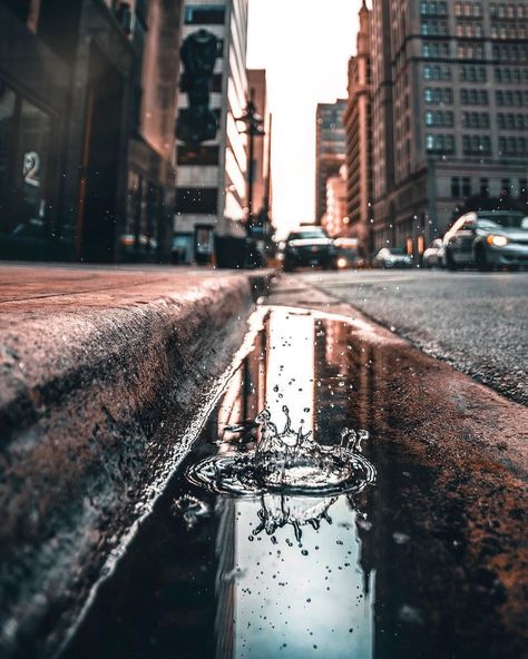 STREETS VISION on Instagram: “Miami, Florida 💧 ___________________________________________ Photo: @ta_visuals  Use ➡️ #STREETS_VISION…” Miami Street, Miami Tattoo, Norman Vincent Peale, Moody Photography, Miami Florida, Street Photography, Natural Beauty, Miami, Florida