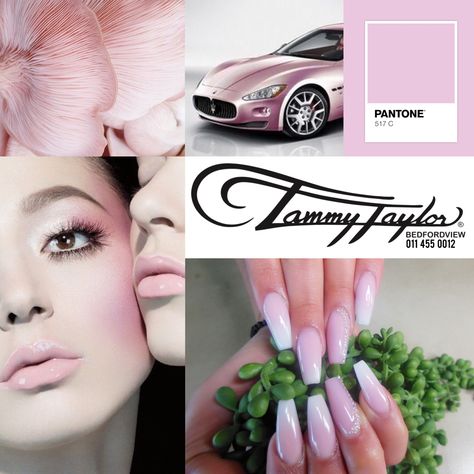 Designer Tammy Taylor Nails || Call 0114550012 to Book an appointment or Download the Tammy Taylor SA App. Cruelty Free and used in over 100 thousand Salons World Wide. Visit us at the Wellness Centre on 50 Van Buuren Road, Bedfordview. #tammytaylornails #tammytaylorbedfordview  #johannesburg #bedfordview #pantone #nails #nailinspo #ttngirl #colorinspo #nailstyle #nailfashion #nailstyle #nailstoinspire #nailshape #crueltyfreebeauty #acrylicnails #pantone #frenchombre #frenchfade Pantone Nails, Taylor Nails, Tammy Taylor Nails, French Fade, Tammy Taylor, Wellness Centre, Color Inspo, Cruelty Free Beauty, Book An Appointment