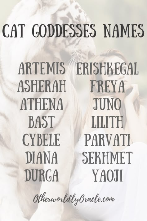 Official List of Cat Goddesses Names Elemental Names, Goddesses Names, Goddess Name, Cat God, Witch Names, Cat Goddess, Goddess Names, Witches Familiar, Fantasy Names