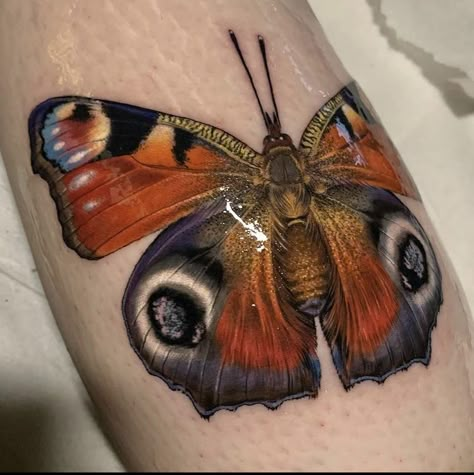 Butterfly Leg Tattoo, Butterfly Leg Tattoos, Traditional Butterfly Tattoo, Realistic Butterfly Tattoo, Borboleta Tattoo, Colorful Butterfly Tattoo, Insect Tattoo, Peacock Butterfly, Witch Tattoo