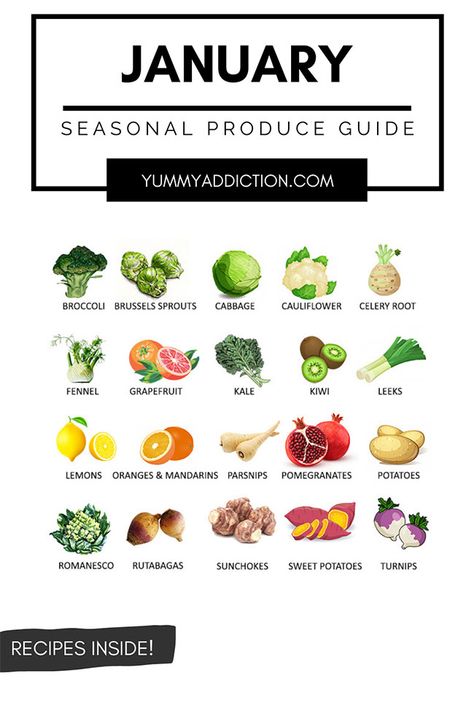 A seasonal produce guide highlighting fruits and vegetables that are at their best in January. Tips on how to use them and recipes inside! #produce #january #vegetables #fruits #seasonal Veggies In Season January, January Fruits And Vegetables, January Vegetables In Season, January Produce In Season, Vegetables In Season By Month, Winter In Season Produce, Seasonal Veggies And Fruits, Seasonal Fruits And Vegetables Chart, Seasonal Vegetable Chart