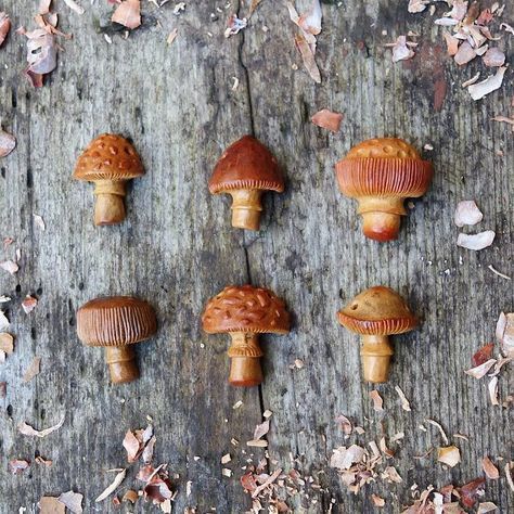 Avocado Seed Carvings. How neat are these?! What a brilliant idea! Great way to repurpose and upcycle what you have on hand! #diyproject #upcycled #repurposed #recycled #bringnatureinside #natureart #exploreoutdoors #seedcarving #carving Avocado Pits, Avocado Art, Seed Art, Whittling Projects, Dremel Carving, Wood Carving Tools Knives, Avocado Seed, Dremel Projects, Mushroom Fairy