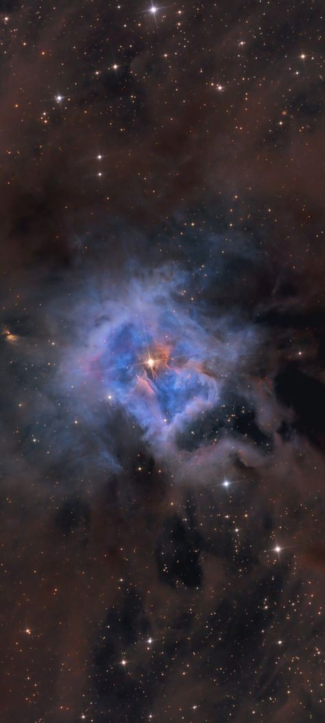 NGC-7023 Iris Nebula by Ola Skarpen Sky Eye cropped close up mobile wallpaper 1080x2400 Nasa Star Pictures, Nebula Aesthetic Wallpaper, Butterfly Nebula Wallpaper, Nebula Aesthetic, Iris Nebula, Planets Quote, Cat's Eye Nebula, Fortnite Map, Planetary Nebula