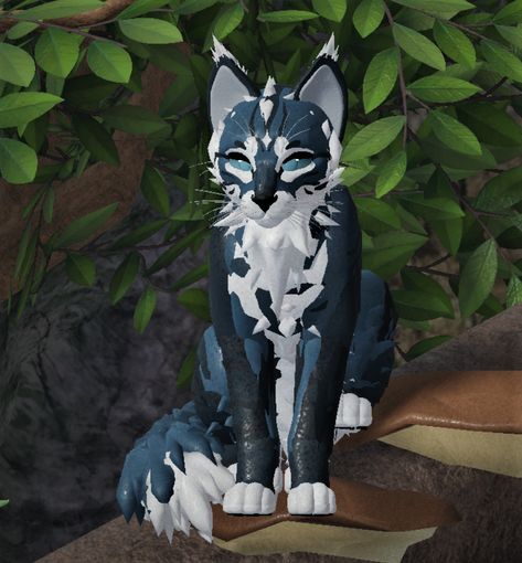 Wuce Morphs Ideas, Warrior Cat Morph Ideas Wcue, Wcue Morph Ideas Without Gamepasses, Roblox Warrior Cats Morphs, Warrior Cats Morph Ideas Free, Warrior Cat Ultimate Edition Oc, Morph Inspo Warrior Cats, Warrior Cats Roblox Morphs Ideas Free, Wcue Morphs Ideas Free