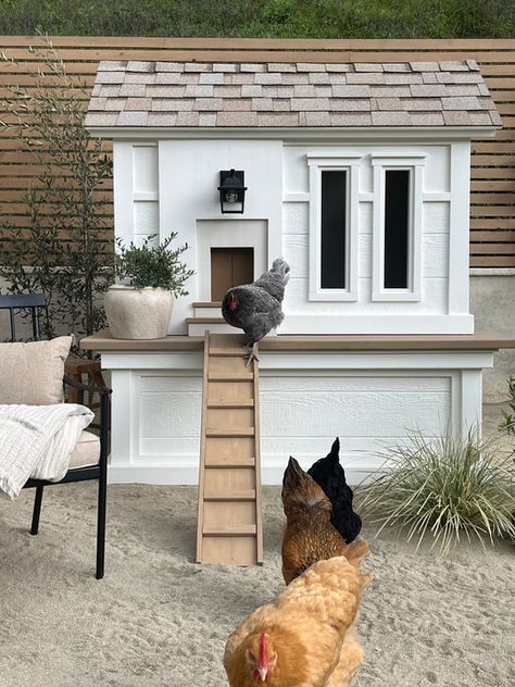 San Francisco, CA | Handcrafted Luxury Animal Homes - A couple of design loving, animal enthusiasts specializing in custom luxury homes for your critter friends! Hidden Chicken Coop, Chicken Coups, Quail Coop, Animal Homes, Egg Farm, Barred Rock, Coastal Mediterranean, Chicken Coop Garden, Chicken Shed