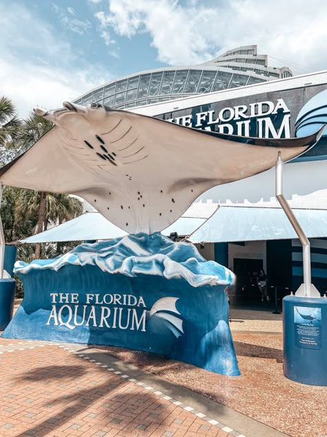 The Florida aquarium Marine Zoologist Aesthetic, Future Marine Biologist, Florida Aquarium, Marine Biologist Aesthetic Lab, Marine Biology University, Marine Biologist Career Dream Job, Surf Shop Aesthetic, Tampa Aquarium, Veterinarians Medicine