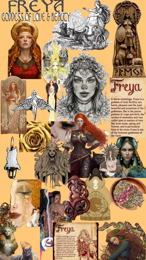 Freja Goddess, Norse Mythology Book, Goddess Freya, Freya Goddess, Mythology Books, Norse Goddess, I Believe In Love, Goddess Of Love, Norse Mythology