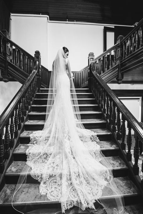 Bridal picture, staircase, train, veil, fitted gown Bride Staircase Photography, Bridal Staircase Photo, Bridal Veil Pictures, Long Train Wedding Dress Stairs, Dramatic Veil Photo, Wedding Dress Train Photos, Wedding Dress With Train And Veil, Bride On Staircase, Long Veil Wedding Pictures