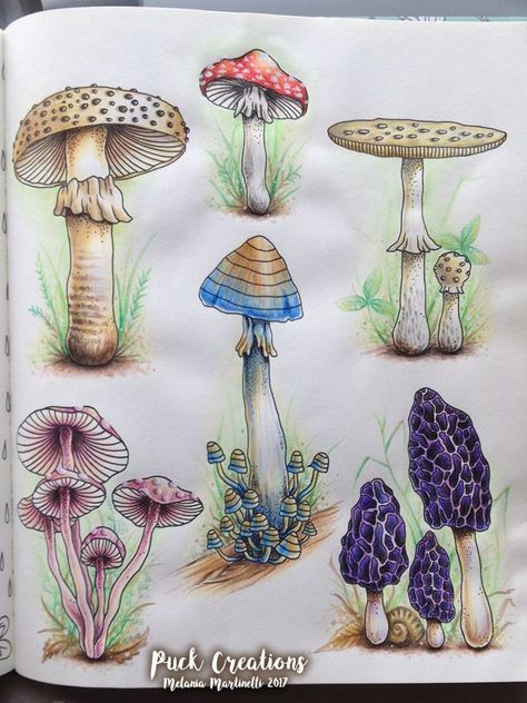 Daydreams Hanna Karlzon, Daydreams Coloring Book, Hanna Karlzon Daydreams, Hannah Karlzon, Mushroom Paint, Pen Art Work, Crystal Drawing, Watercolor Beginner, Colored Pencil Artwork