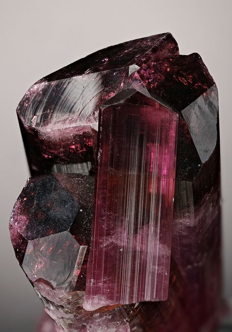 TOURMALINE VARIETY RUBELLITE - Cruzeiro Mine, Sao Jose Da Safira, Minas Gerais, Brazil, South America 6.0 × 3.3 × 2.3 cm Dancing Turtle, Sao Jose, Silicate Minerals, Rocks And Gems, Raw Gemstones, Gems And Minerals, Stone Rocks, Crystals Minerals, Minerals Crystals