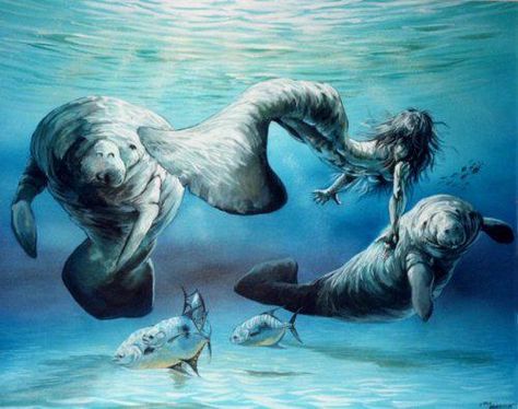 Manatee Mermaid Manatee Mermaid, Mermaid Sightings, Mako Mermaids, Mermaid Tale, Mermaids And Mermen, Mythical Creatures Art, Ariel The Little Mermaid, Mermaid Art, Infamous