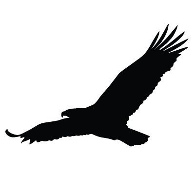 Vogel Silhouette, Eagle Svg, Eagle Silhouette, Soaring Eagle, Eagle Images, Muscular Legs, Eagle Tattoos, Eagle Tattoo, Tattoo Project