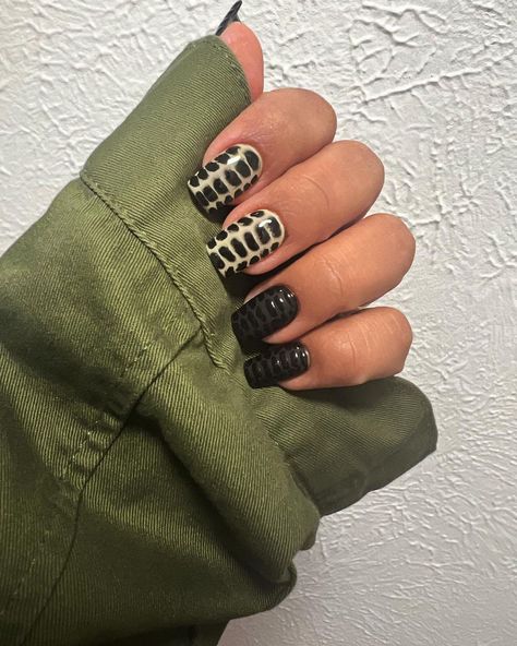 Crocodile skin nails were a hit. Got out of my comfort zone for my SIL’s bachelorette weekend and went for a longer nail length and funky… | Instagram Crocodile Skin Nails, Crocodile Nails, Nail Board, Square Nail Designs, Short Square Nails, Out Of My Comfort Zone, Skin Nails, Black Nail Designs, Funky Design