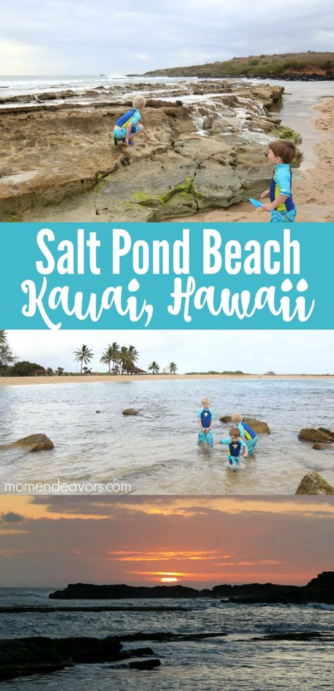 Kauai With Kids, Hawaii With Kids, Kauai Beaches, Beach Life Hacks, Kauai Hotels, Princeville Kauai, Kauai Travel, Kauai Vacation, Salt Ponds