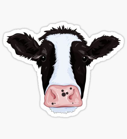 Moo Cow, Art Clothing, Stickers For Sale, Water Bottles, Cow, For Sale, Design, Art