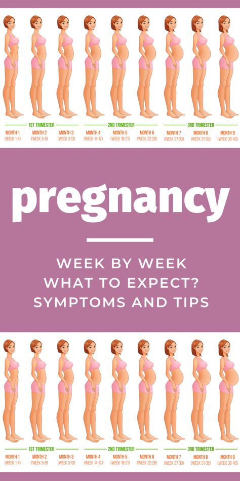 Pregnancy Symptoms Week By Week, Pregnancy 1st Trimester Tips, Pregnancy Months And Weeks, Week 3 Pregnancy Symptoms, Week 6 Of Pregnancy, Pregnant Month By Month, 4 Month Pregnancy Outfits, Week By Week Pregnancy Belly, Week 5 Pregnancy Symptoms