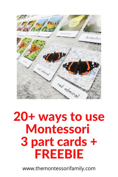 20 ways 3 parts cards 2 Montessori Lifestyle, Games In The Classroom, Montessori Philosophy, Montessori Resources, What Is Montessori, Birds Printable, Toddler Printables, Baby Language, Montessori Printables