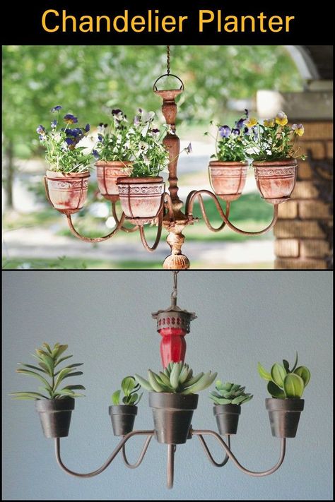 Looking for a beautiful way to hang your plants? An old chandelier might come in handy! Diy Old Chandelier Ideas, Chandelier Garden Ideas, Light Fixture Planter, No Light Chandelier, Plant Chandelier Diy, Chandelier In Garden, Greenhouse Chandelier Ideas, Chandelier Planter Diy, Repurposed Chandelier Ideas