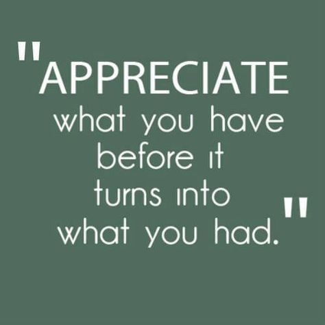 Appreciate what you have... quote appreciate grateful thankful have Its Too Late, Appreciate What You Have, Courage Quotes, 20th Quote, Appreciation Quotes, Quotable Quotes, Motivation Quotes, A Quote, Good Advice