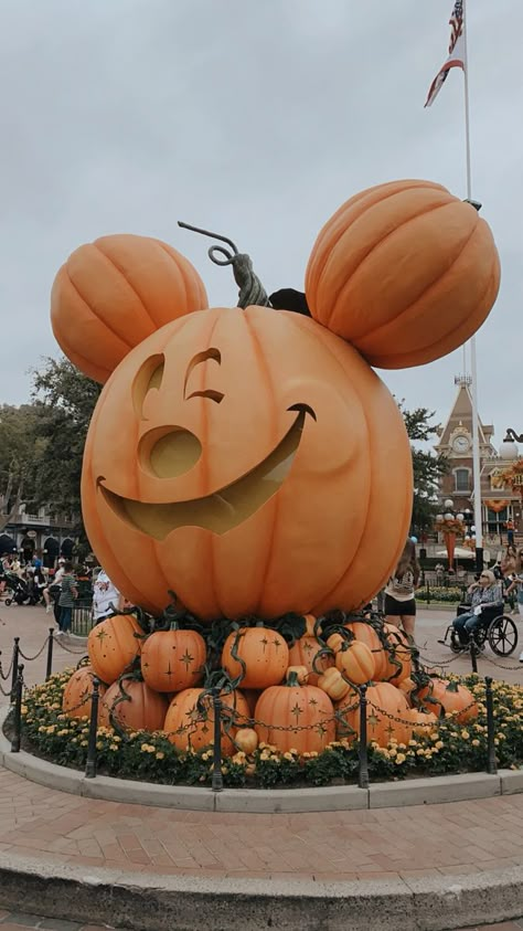 Disneyland Pumpkin, Disneyland Mickey Pumpkin, Disneyland Halloween Wallpaper, Disney World Fall, Preppy Fall Widgets, Disneyland Fall, Fall Disney, Fall Disney Outfits, Spooky Song