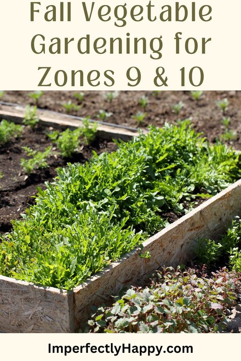 fall gardening
zone 9 gardening
zone 10 gardening Texas Fall Garden, What To Plant In September, Fall Vegetable Gardening, Homesteading Life, Fall Crops, Modern Homestead, Backyard Farm, Modern Homesteading, Homestead Ideas