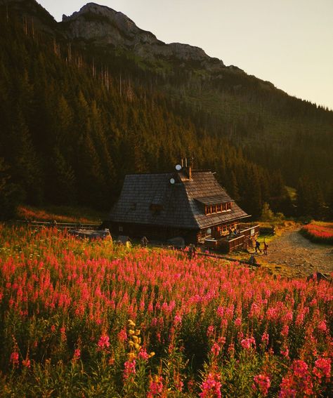 Polish Countryside Aesthetic, Mountain Village Aesthetic, Polish Aesthetic Poland, Countryside Mountains, Polish Countryside, German Nature, Mountains Sunrise, Polish Mountains, Sunrise Mountain