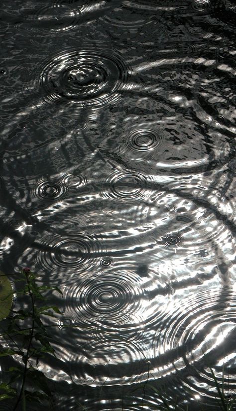 I Love Rain, Going To Rain, Love Rain, Singing In The Rain, Water Ripples, Rain Photography, Dancing In The Rain, Reference Photos, Pics Art