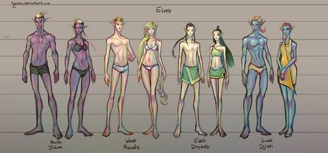 Types Of Elves, Racing Wallpaper, Female Elf, Fantasy Races, High Fantasy, Fantasy Inspiration, Character Design References, Fantasy Character Design, Fantasy Creatures