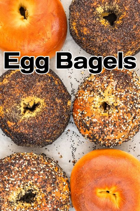 Egg Bagels Egg Bagel Recipe, Egg Bagels, Egg Bagel, Everything Seasoning, Plain Bagel, New York Bagel, Fluffy Eggs, Homemade Breads, Homemade Bagels