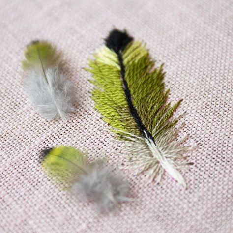 Sarah Godfrey в Instagram: «My lineolated parakeet, Leaf, is going through her first molt. Here are a few of her fluffy feathers (one of them embroidered by me 😉) 💚🌿…» Baby Mehndi Design, Feather Embroidery, Buddha Art Painting, Basic Embroidery Stitches, Embroidery Stitches Tutorial, Hand Embroidery Projects, Hand Embroidery Flowers, Embroidery On Clothes, Hand Embroidery Pattern