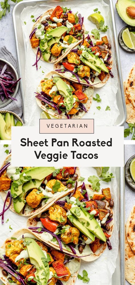 Beautiful sheet pan roasted vegetable tacos filled with perfectly seasoned veggies and plenty of plant-based protein. Serve these easy vegetarian tacos with avocado, sliced red cabbage, fresh cilantro, and your choice between two creamy, delicious sauces. The ultimate meatless dinner made on one pan! #tacos #vegetarianrecipe #veganrecipe #vegandinner #vegetariandinner #onepanmeal #vegantacos Roasted Vegetable Tacos, Pan Tacos, Vegetable Tacos, Delicious Sauces, Tacos With Avocado, Veggie Tacos, Seasoned Veggies, Vegetarian Tacos, Ambitious Kitchen