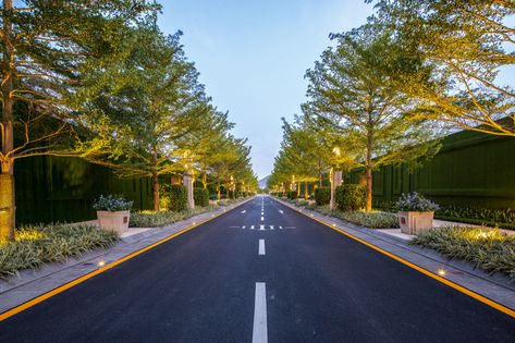 Palace Landscape Design, Road Landscape Design, Car Parking Landscape, Entrance Plaza Landscape Design, Pedestrian Road Design, Parking Lot Landscape Architecture, Holiday Destinations In India, Landscape And Urbanism Architecture, Streetscape Design