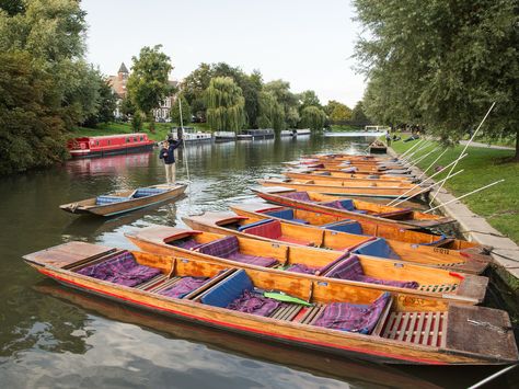 https://flic.kr/p/XSkutQ | Punts on the River Cam in Cambridge | Cambridge, England, UK - August 19, 2017: Traditional punt boats are moored up on the riverbank of the Cam in Cambridge. Cambridge England, August 19, England Uk, I Left, Ride On, Boating, The River, Cambridge, Boats