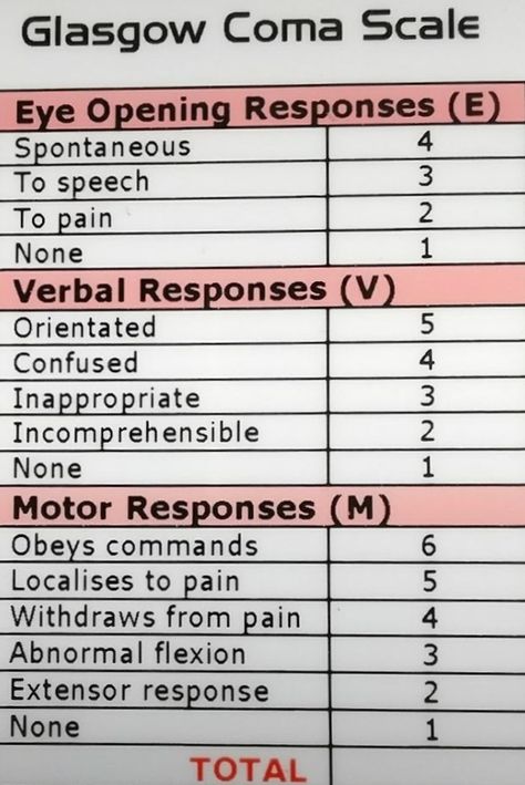 Ems Notes, Advanced Emt, Flight Nursing, Paramedic Study, Emt School, Emt Life, Coordinate Plane Worksheets, Glasgow Coma Scale, Emt Study