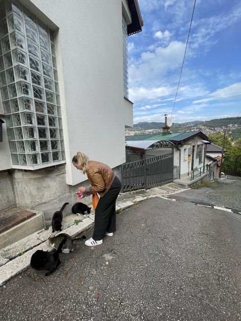 #animals #cute #straycats #feeding Student Moodboard, Feeding Stray Cats, Cat Whisperer, Stray Cats, Cats Aesthetic, Animals Cute, Cat Books, Cat Feeding, Stray Cat