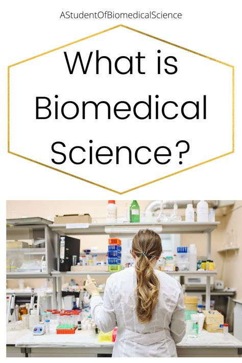 A blogpost explaining what biomedical science is. Biomedical Scientist, Scientific Writing, Pathology Lab, Biomedical Science, Science Degree, Health Careers, Medical Science, Education And Training, Microbiology