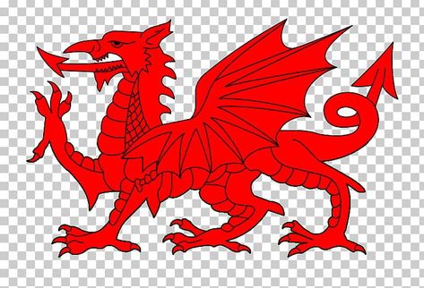 White Chinese Dragon, Wales Dragon, Uther Pendragon, Flag Of Wales, Western Dragon, Yin Yang Illustration, Japanese Dragon Drawing, Dragon Png, Wales Flag