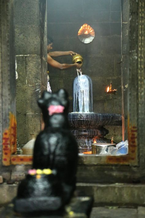 Shiv Linga, Lord Shiva Temple, Shiva Temple, Shiva Shankar, Shiva Linga, Shiva Photos, Photos Of Lord Shiva, Om Namah Shivaya, Lord Shiva Pics