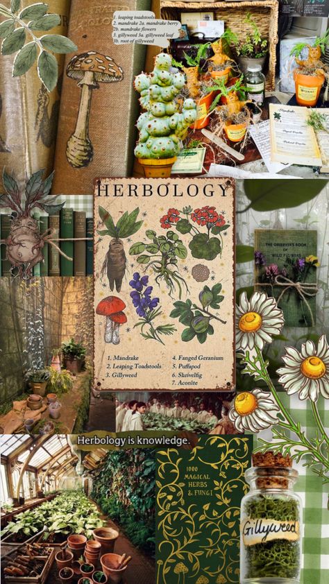 #herbology #botany #plants #harrypotter Herbology Wallpaper Aesthetic, Vintage Botany Aesthetic, Botany Aesthetic Wallpaper, Herbology Aesthetic Wallpaper, Botany Classroom, Herbalist Wallpaper, Plant Biology Aesthetic, Biohacking Aesthetic, Horticulture Aesthetic