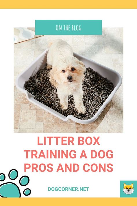 For those of you who spend a lot of time outside the home and leave their dogs inside, litter box training may be the solution. If you are one of those dog owners you will want to know about the pros and cons of this training. This should give you a better idea of what to expect and also what you can do to make the overall process easier. Litter box training a dog pros cons are easy to understand and this is something we will do it below. How To Litter Train A Dog, Dog Litter Box Ideas Indoor, Dog Litter Box Ideas, Puppy Litter Box Ideas, Litter Box Training Puppies, Litter Training Puppies, Litter Box For Dogs, Puppy Toilet Training Tips, House Breaking A Puppy Potty Training