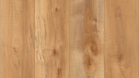 Luxury Vinyl Plank Flooring | LVP & LVT Options | COREtec White Stair Risers, Oak Vinyl Plank Flooring, Oak Luxury Vinyl Plank Flooring, Flooring Lvp, Coretec Flooring, Coretec Plus, Vinyl Wood Flooring, Luxury Vinyl Planks, Vinyl Planks