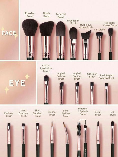 Makeup Hacks For Beginners, Basic Makeup For Beginners, Brush For Makeup, Makeup Brush Uses, Eyeshadow Brush Set, Alat Makeup, Makeup Order, Makeup Brushes Guide, Learn Makeup