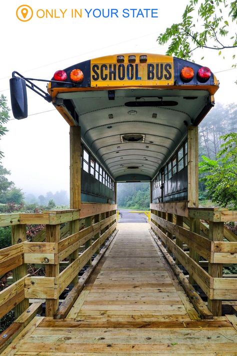 Cross a unique repurposed school bus covered bridge on this rail trail hike in Kentucky. Bus School, School Buses, State School, Covered Bridge, Hidden Beach, Crochet Throw, To Infinity And Beyond, Covered Bridges, Best Hikes