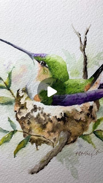 Hummingbird Art Watercolor, Hummingbird Art Drawing, Watercolor Birds Tutorial, Bird Watercolor Art, Take A Rest, Watercolor Paintings Of Animals, Painting Birds, Watercolor Hummingbird, Hummingbird Painting